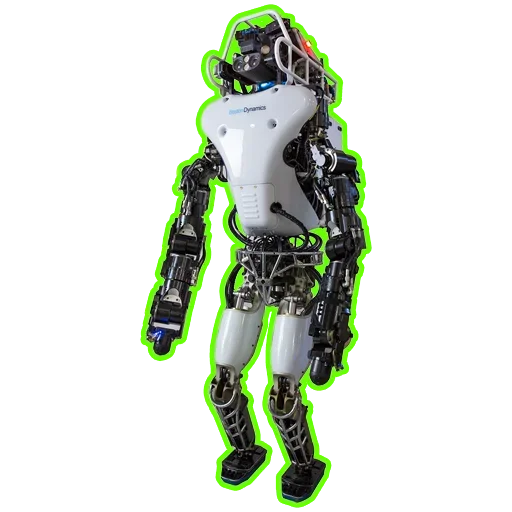 Организмы - СМС