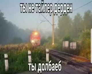 Стикер Больше стиков тут: @stikery4 - 7