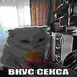 Стикер Больше стиков тут: @stikery4 - 8