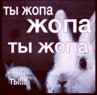 Стикер orlks pack #2 - 5