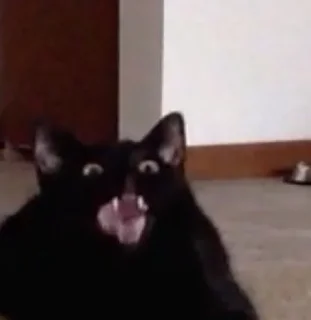 Стикер orlks pack #2 - 10