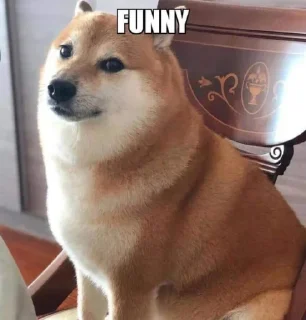 Стикер orlks pack #2 - 9