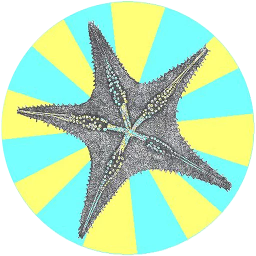 Sticker O'Reilly bookshelf stories - 10