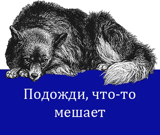 Sticker O'Reilly bookshelf stories - 9