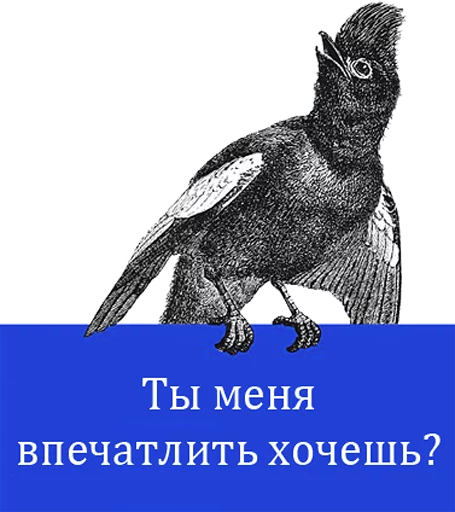 Sticker O'Reilly bookshelf stories - 7