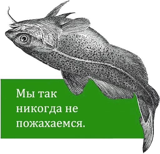 Sticker O'Reilly bookshelf stories - 2