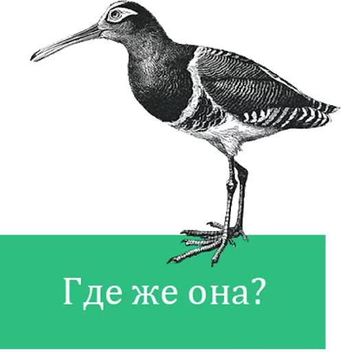 Sticker O'Reilly bookshelf stories - 1