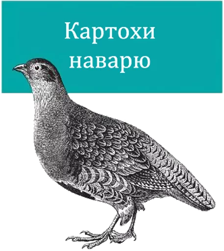 Sticker O'Reilly bookshelf stories - 0