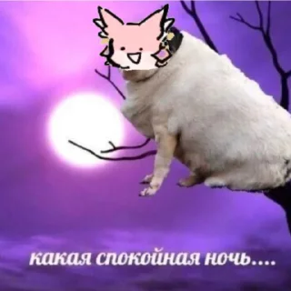 Sticker мико😳😳😵 - 11