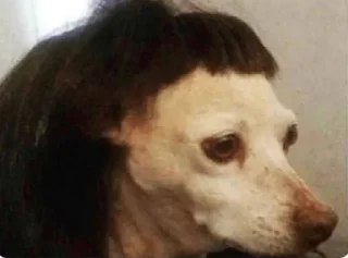 Sticker nend sudes - 9