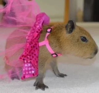 Sticker Больше стикеров 👉🏻 @stickertg4 - 9