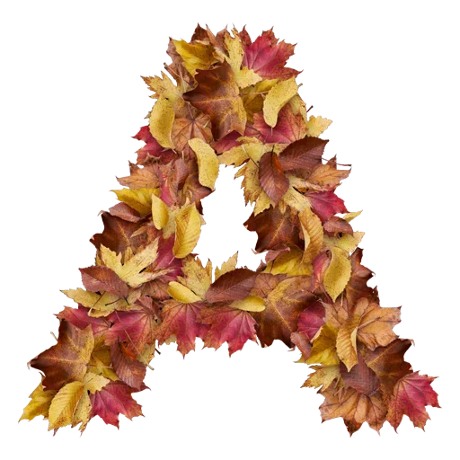 Autumnal @stickersb2b - 