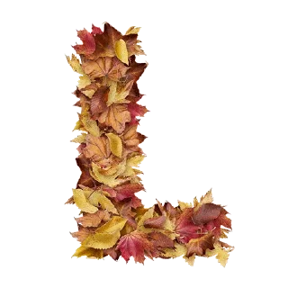 Sticker Autumnal @stickersb2b - 3