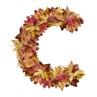 Sticker Autumnal @stickersb2b - 7