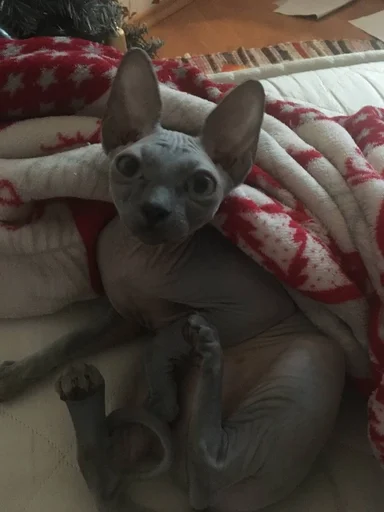 Стикер мишель богиня :: @fStikBot - 11