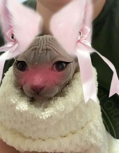 Стикер мишель богиня :: @fStikBot - 7