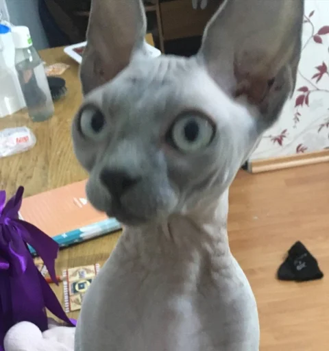 Стикер мишель богиня :: @fStikBot - 6