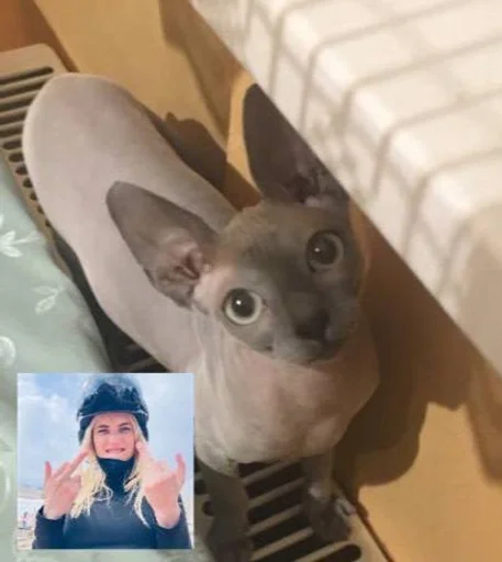 Стикер мишель богиня :: @fStikBot - 4