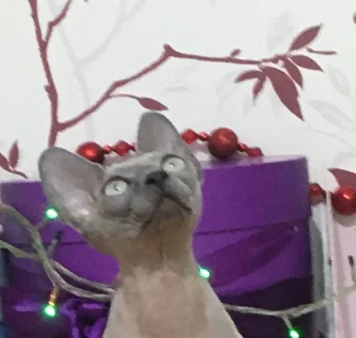 Стикер мишель богиня :: @fStikBot - 1