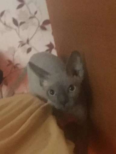 Стикер мишель богиня :: @fStikBot - 0