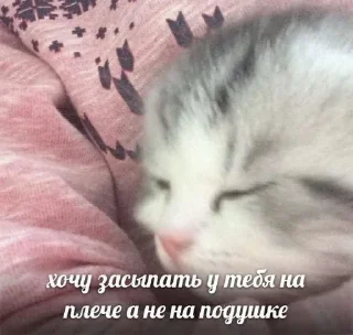 Sticker Больше стиков тут: @stikery4 - 8