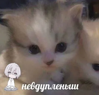 Sticker Больше стиков тут: @stikery4 - 5