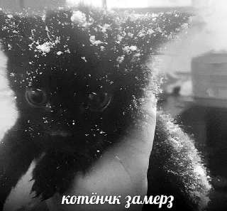 Sticker Больше стиков тут: @stikery4 - 3