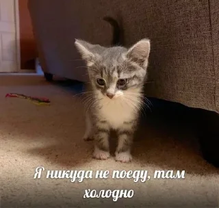 Sticker Больше стиков тут: @stikery4 - 2