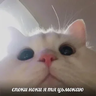 Sticker Больше стиков тут: @stikery4 - 6