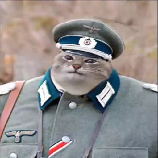 clothing collar peaked cap