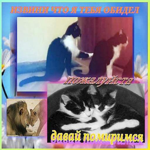 СМС млекопитающее животное