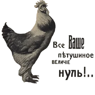 Sticker Sincere @stickersb2b - 2