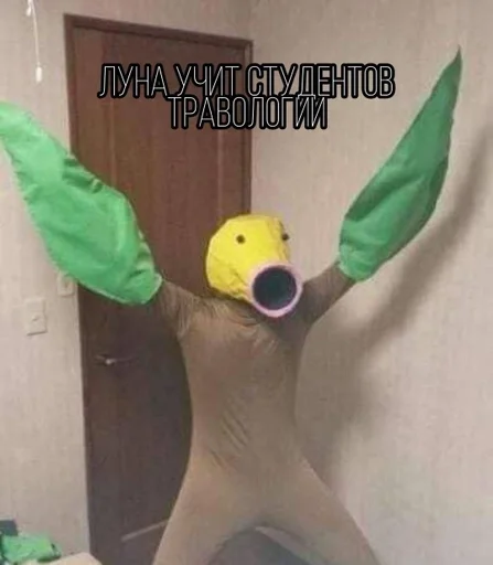 мультфильм СМС стена