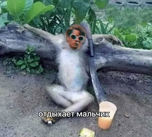 животное млекопитающее СМС