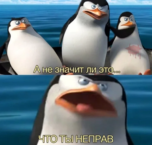 животное водная птица птица