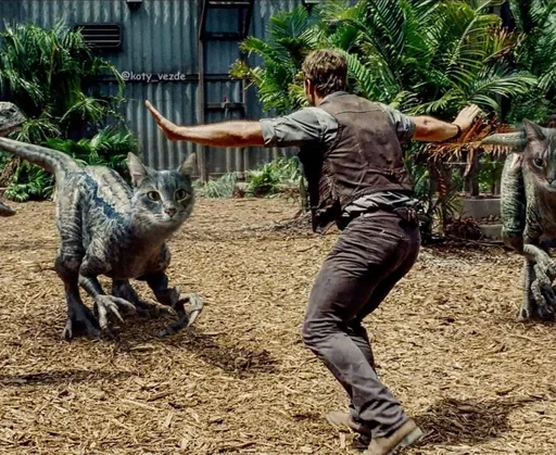 на открытом воздухе земля Человек