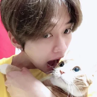 Стикер мемы мемы мемы кпоп мемы - 8