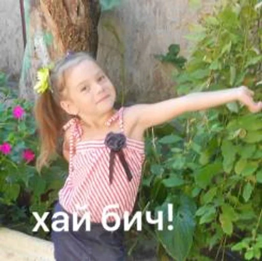 одежда человеческое лицо Человек