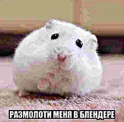 Стикер отсосу за бигмак :: @fStikBot - 0