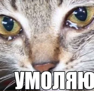 Стикер откисай 2.0 - 11