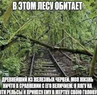 Стикер откисай 2.0 - 2