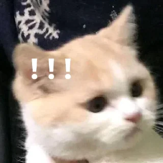 Стикер Ответка - 1