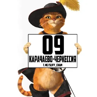 Sticker ОТВЕТЫ ОГЭ 👉 @hypeanswer - 4