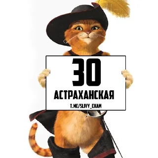 Sticker ОТВЕТЫ ОГЭ 👉 @hypeanswer - 6