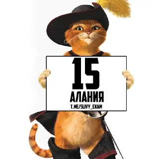 Sticker ОТВЕТЫ ОГЭ 👉 @hypeanswer - 10