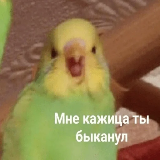 Sticker отвращение к тебе - 10