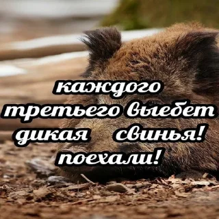 Sticker Shitposting - 8