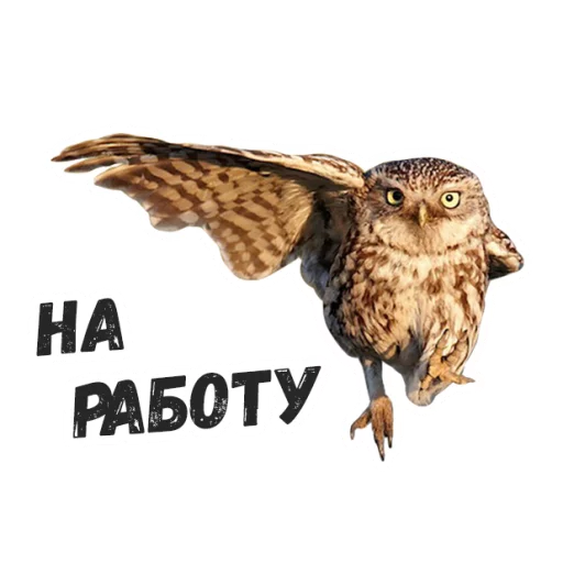 Sticker Жиза сов @lennysticker - 11