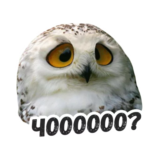 Sticker Жиза сов @lennysticker - 5