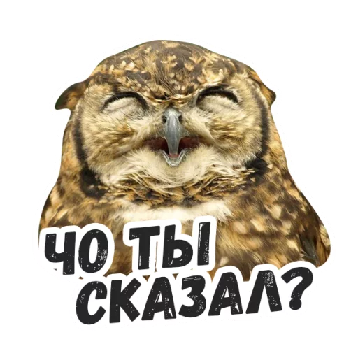 Sticker Жиза сов @lennysticker - 4